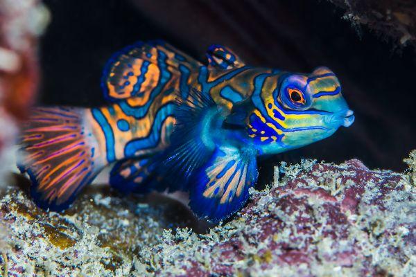 Unique dive sites www.tetiana.photo