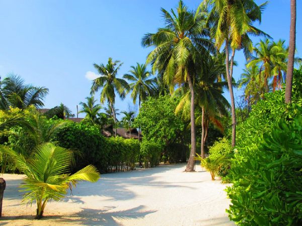 Tours to the Maldives is a ticket to happiness!