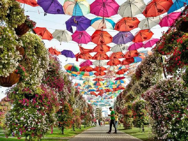 Miracle Garden foto