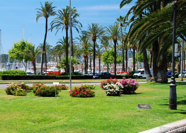 Palma de Mallorca things to do attractions