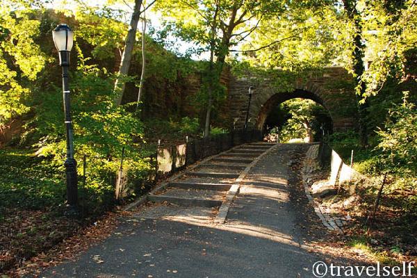 The Cloisters Museum and Gardens foto